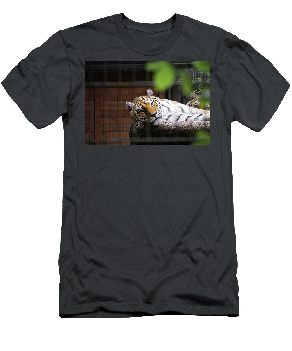 419 Beautiful Wildlife Photography Nature Photography T-Shirt