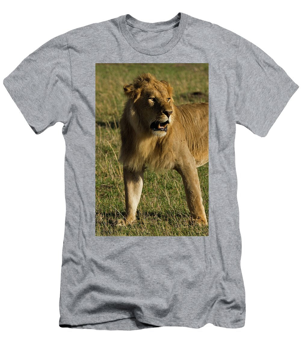 The Boss Dan and Paige Nissley T-Shirt